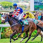 bet online mauritius horse racing
